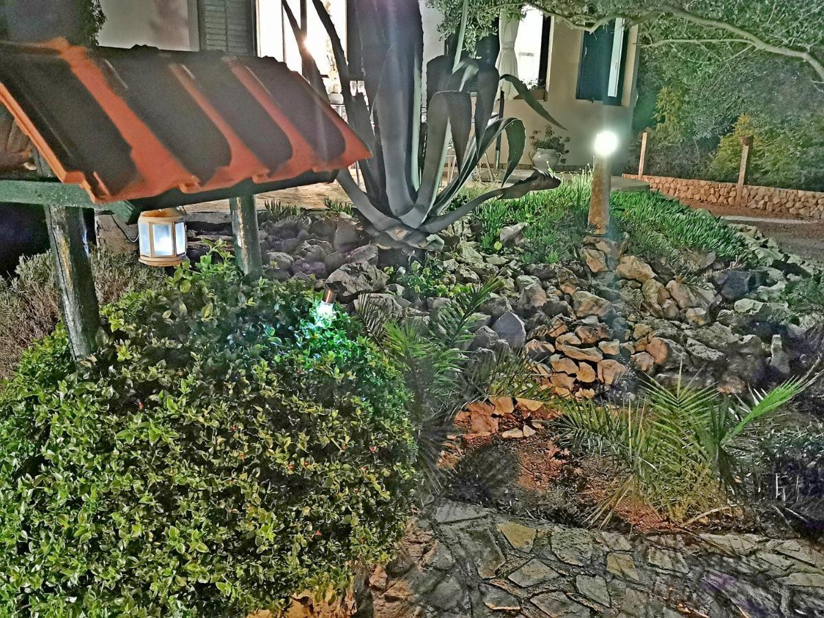 Apartmani Antonela&Andrej プリヴラカ エクステリア 写真