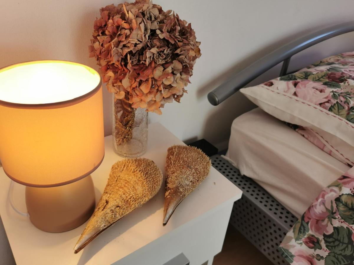 Apartmani Antonela&Andrej プリヴラカ エクステリア 写真